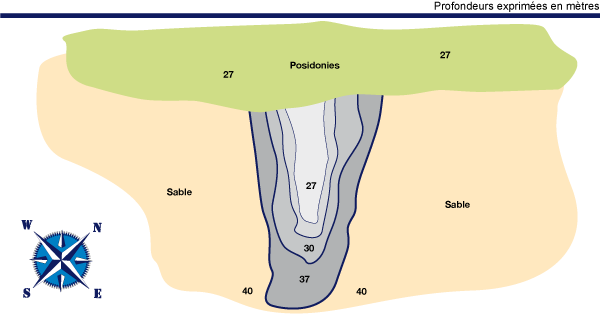 Plan du site